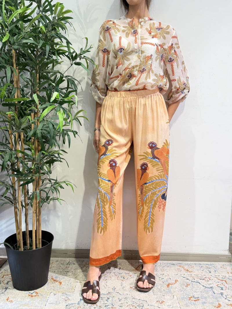 Haveone - Pantalone pavoni tabacco